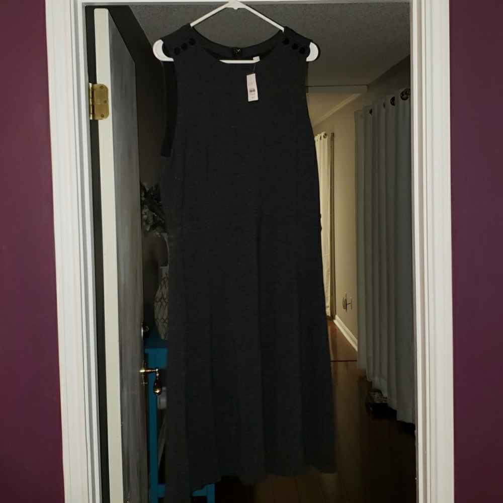 Loft NwT Dress